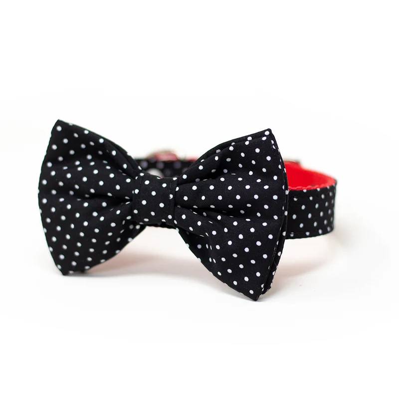 Collar de Corbata de Moño Negro de Puntos para Perro de Jack Pet Style