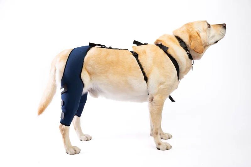 Rodilleras para perros - Protector Doble de Rodilla Para Perro