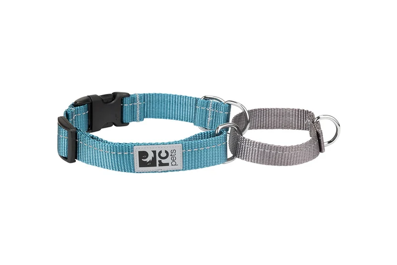 Primary Web Training Clip Collar Dark Teal c/Reflejante para Perros de RC Pets