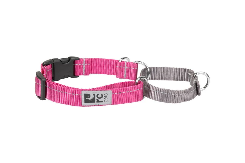 Primary Web Training Clip Collar Arándano c/Reflejante para Perros de RC Pets