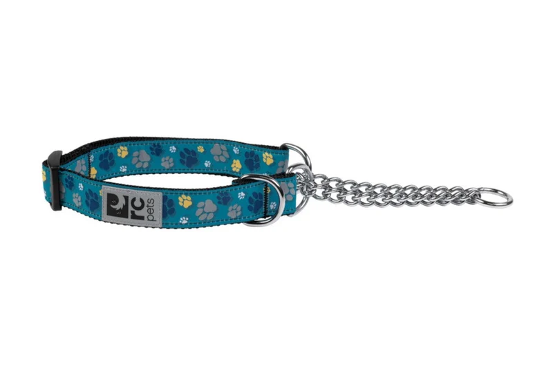 Collar de Entrenamiento Para Perros Martingale estilo Fresh Tracks Teal