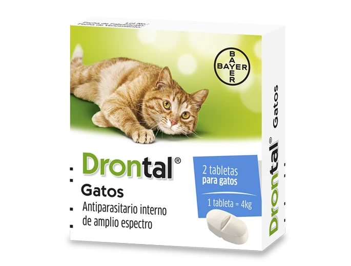 Drontal Gatos x 2 Tabletas
