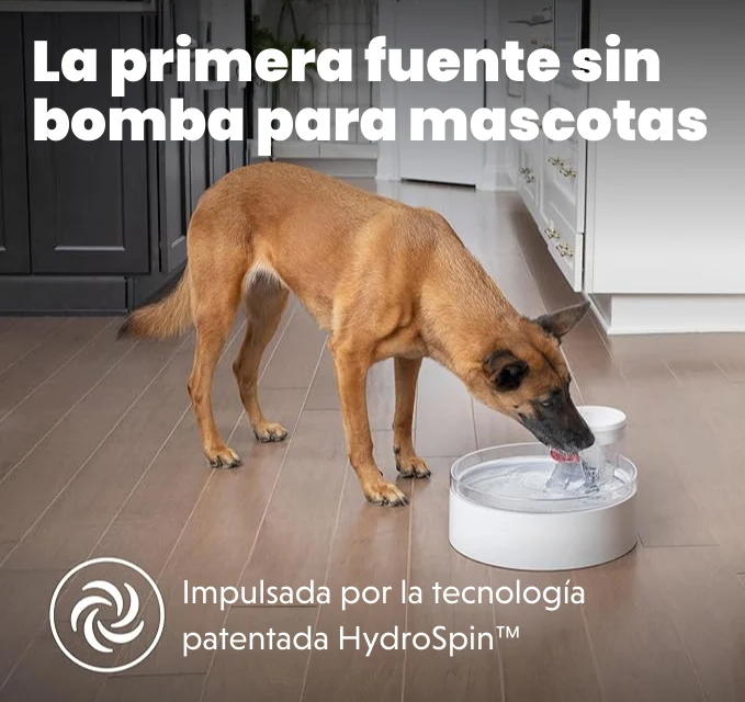 Outlast™ Dog Fountain - Fuente de Agua Automática para Perros de 3.78 Litros