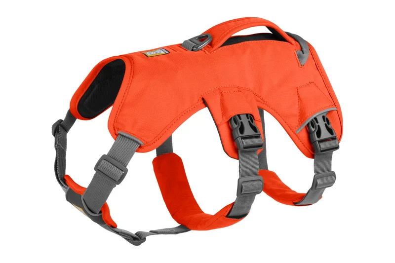 Web Master Harness® Pechera Multiusos con Asa en Naranja Fosfo (Blaze Orange) de Ruffwear