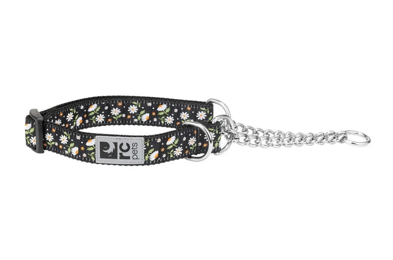 Collar de Entrenamiento Para Perros Martingale estilo Daisies