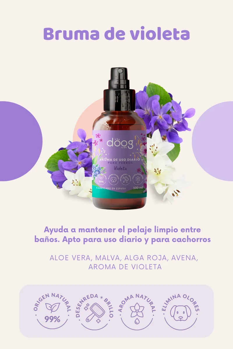 Bruma Violetas | Neutraliza olores | 100ml The Doog Life