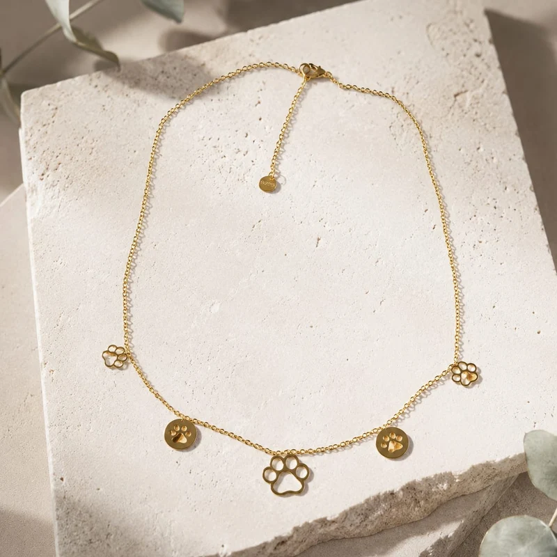 Collar Acero Inoxidable Huellitas Doradas