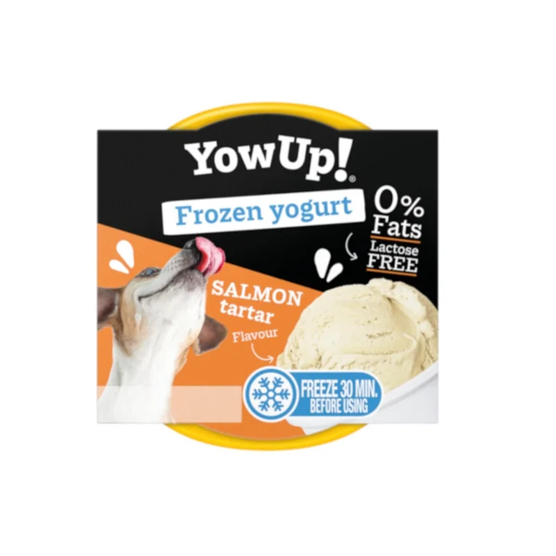 Helado de yogur sabor Tartar de Salmón 110 g | YowUp!
