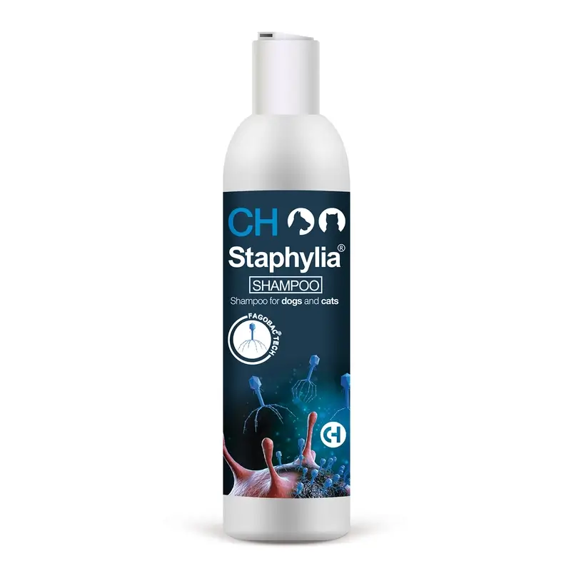 Chemical Staphylia Champu, 250 Ml
