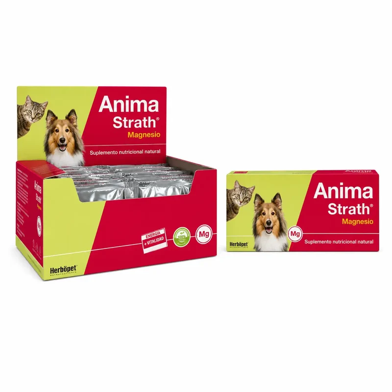 Anima Strath Magnésio 40 comprimidos