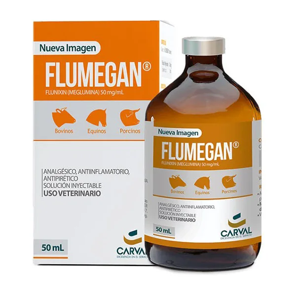 Flumegan Antiinflamatorio y Anagésico
