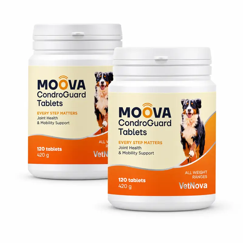 Moova CondroGuard Pack 2 x 120 Comprimidos